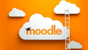 Advantages and disadvantages of moodle (pros and cons)